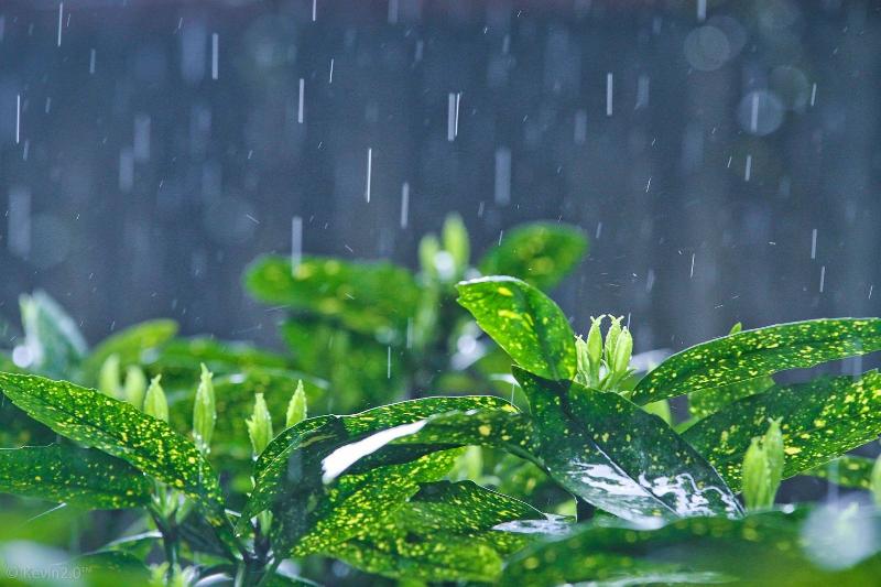 七绝.环保颂(五首)-京津沪头条 文/暖雨晴风(图3)