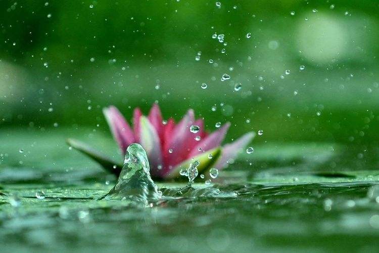 《征文赛二十九》夜雨:/李豫(陕西澄县)(图5)