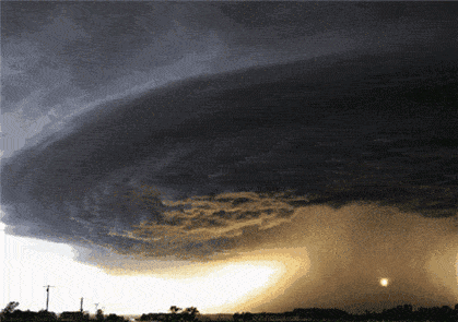 1606638536420094731.gif timg (1).gif