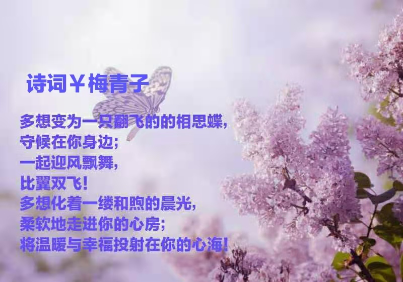 mmexport1607209097931.