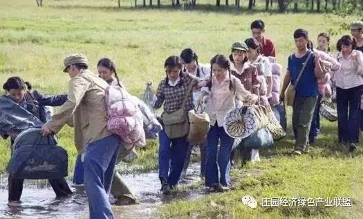 【枫雅汇】诗人焦勇专辑《十四》（冬夜思）（图5）