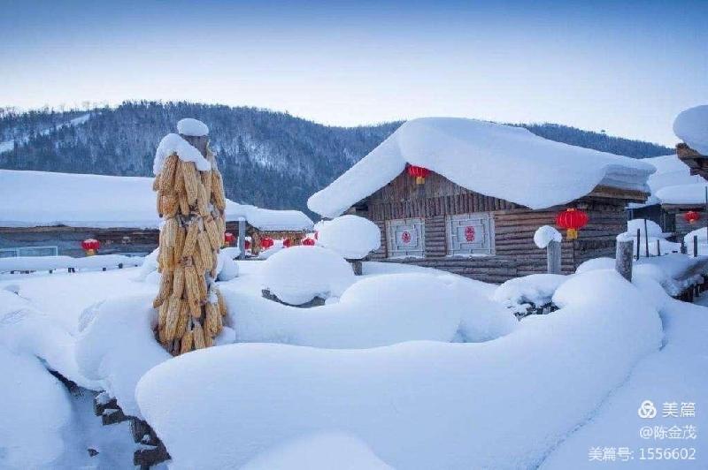 大雪,撤回一条消息(组诗) 文/陈金茂〔美国〕制作:冰心.幽蓝【冰心文化传媒】(图6)