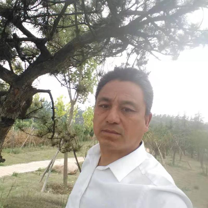 mmexport1608183643555.
