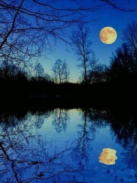 文/小草 夜晚 我和月儿相邀来到小河边 天上一个圆圆 水中一个圆圆 我