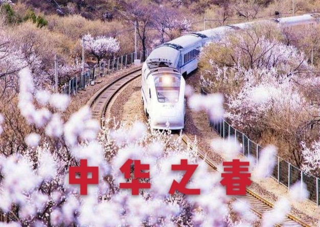 【创新提高】张燕良//紫金县新课改经验交流会写真（图14）