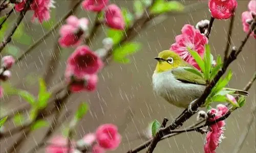 贺神州十二号发射成功‖巴彦诗协诗词卷【75】(图9)
