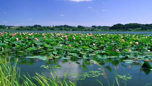 浪漫行 散文/程英（图9）