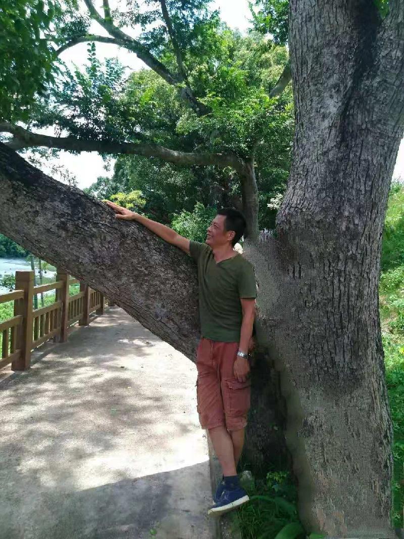 父爱 文/黄兆彪（图3）