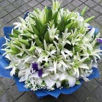 父亲节里的思念:文/云淡风轻(辽宁丹东)(图5)