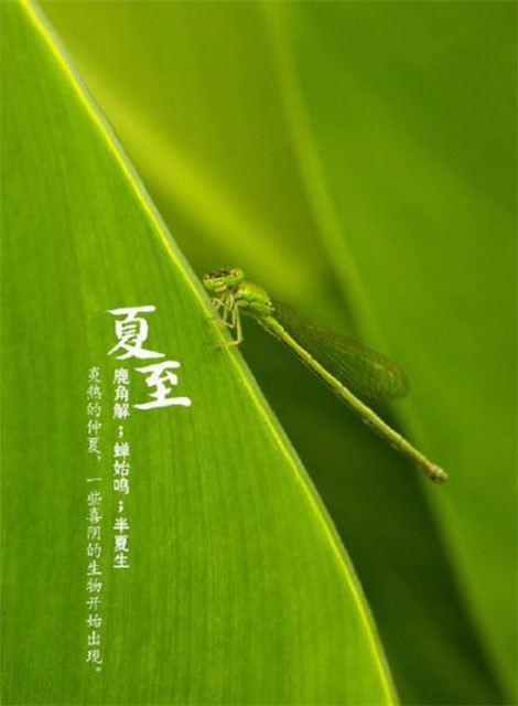 邱建铭〔广东〕夏日诗词专辑 【冰心文化传媒】(图17)