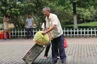 《愿天堂的慈父快乐潇洒》作者/范天云(图5)