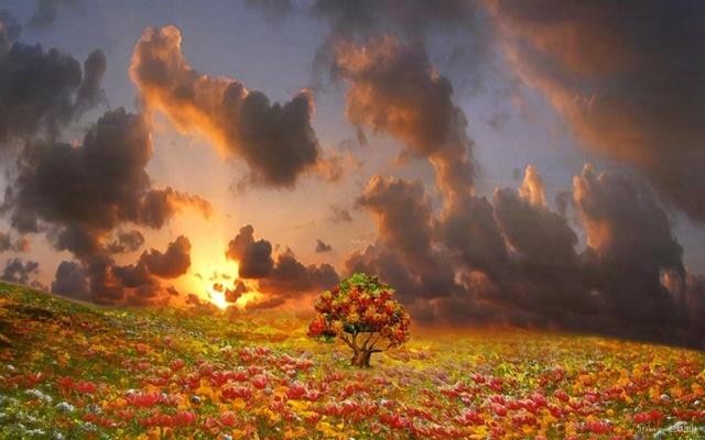 【潇湘文学社】潇湘问梅诗社《夏晓》(图23)