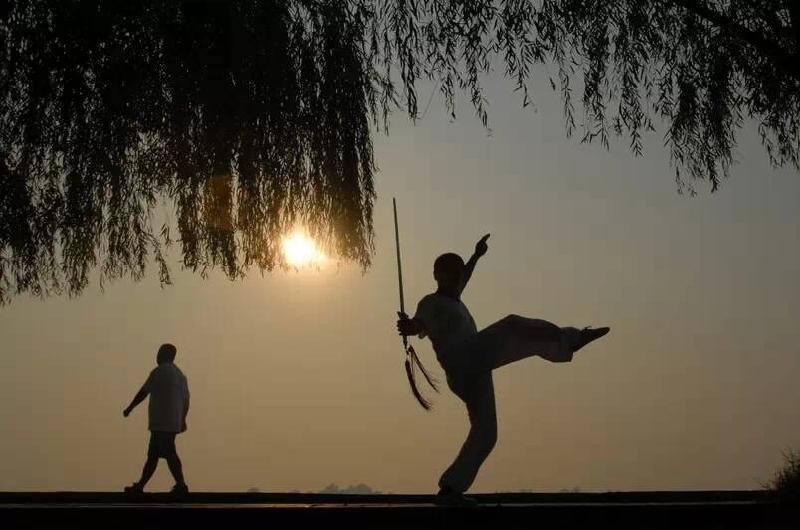 【潇湘文学社】潇湘问梅诗社《夏晓》(图31)