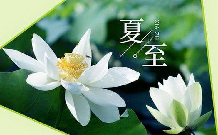 心雨(外一首) 文/叶语〔河北〕【冰心文化传媒】(图5)