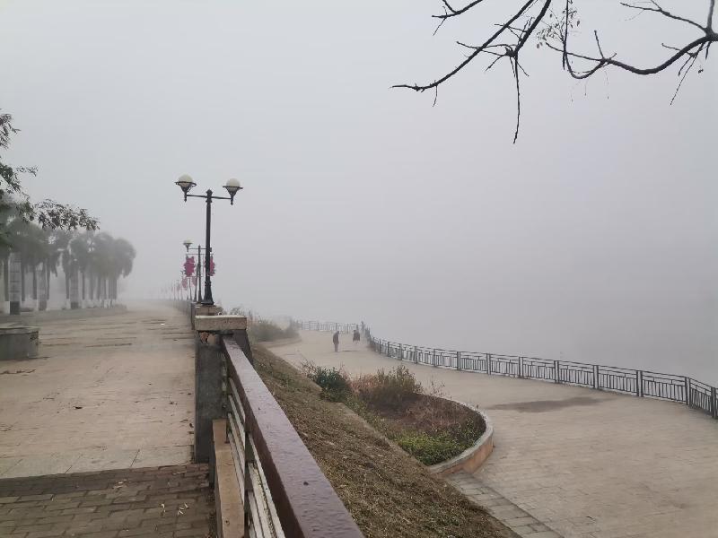 莲儿辛丑年上半年诗词(图2)