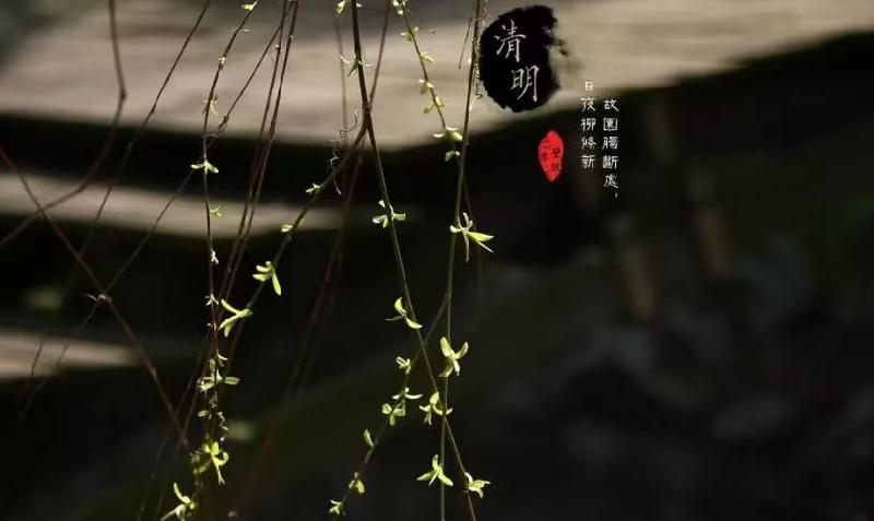 莲儿辛丑年上半年诗词(图28)