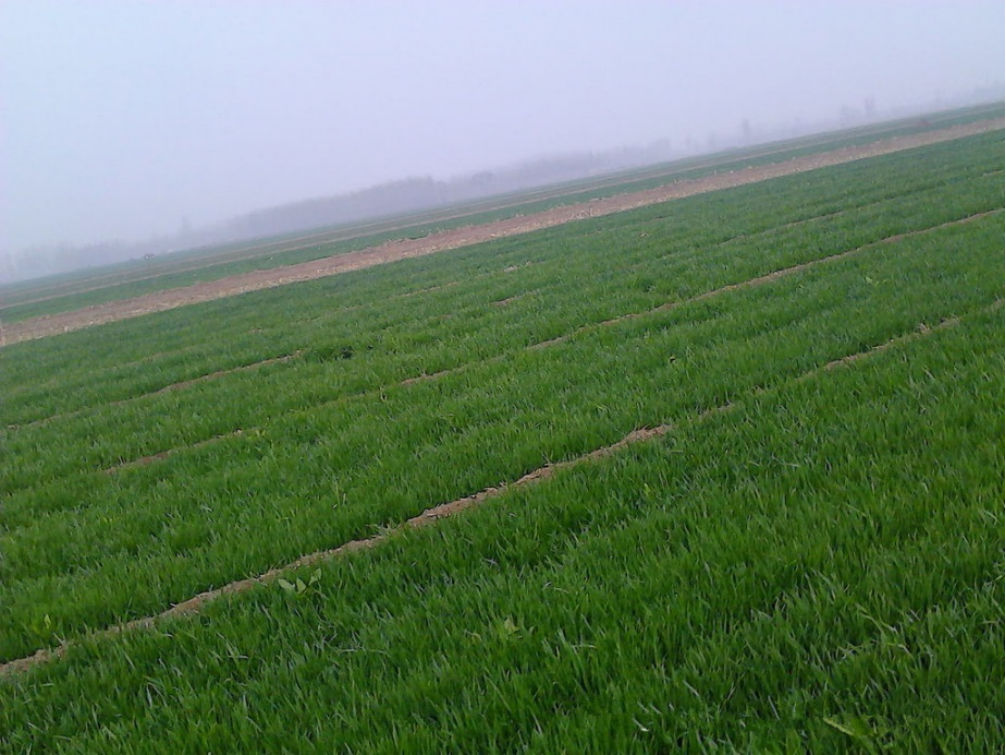 121701273.png image.png