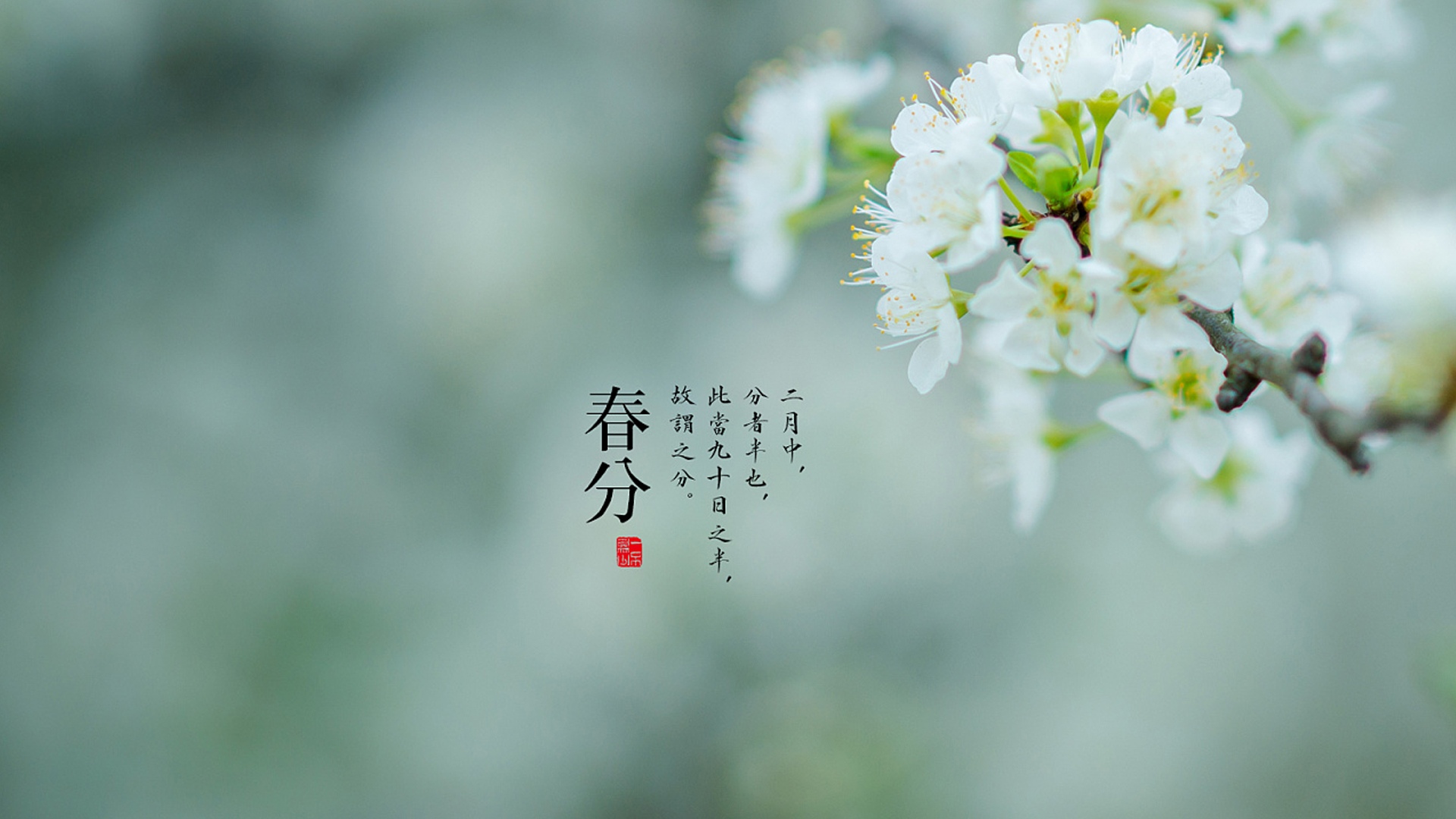 布衣诵读《春分,爱你几分》 作者:周峰(图6)