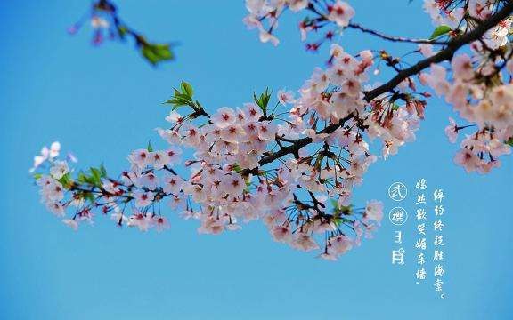 （诗歌专辑一）文/程宝玉〔内蒙古〕【冰心文化传媒】主编冰心（图7）