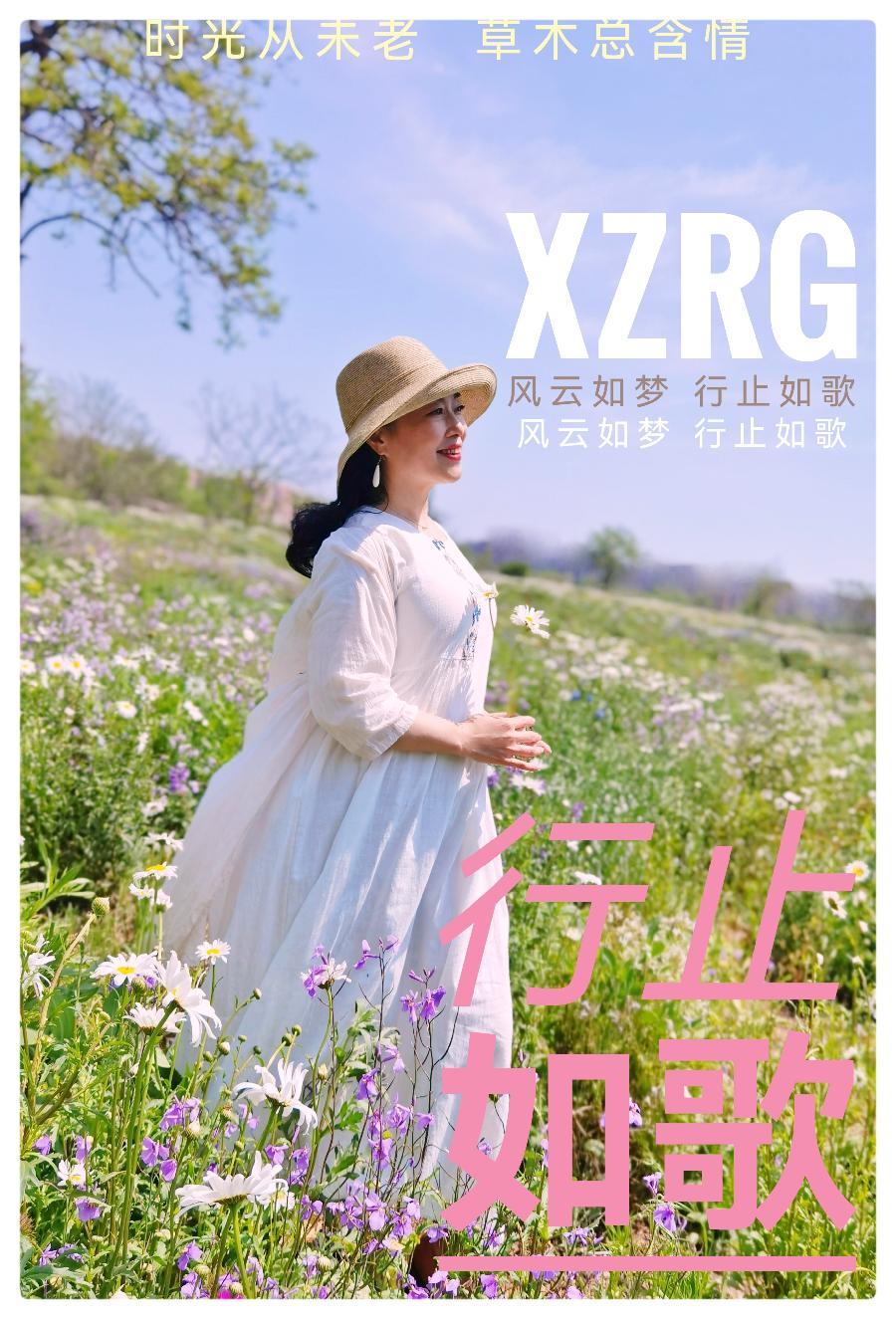 张凤玲诗歌ll花开的时候ll诵读 老菩提(图6)