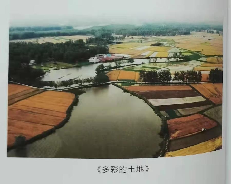大器而作,交响而成——读杨爱华的《弋水悠悠》作者/姜舟林 主播/一土黄沙 编辑/胡琴(图2)