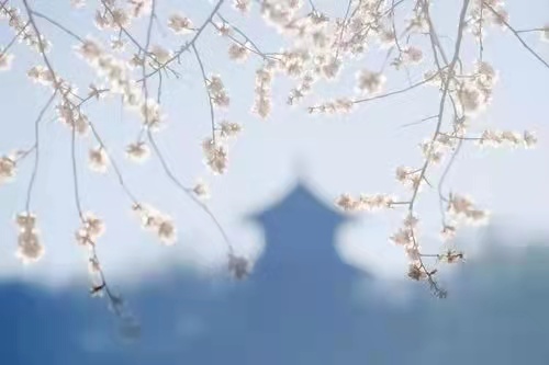 李福奎‖抗疫