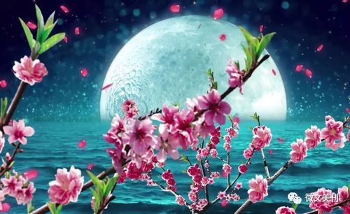 【经典推荐】昨夜天//最是那 一低眉的温柔（图5）