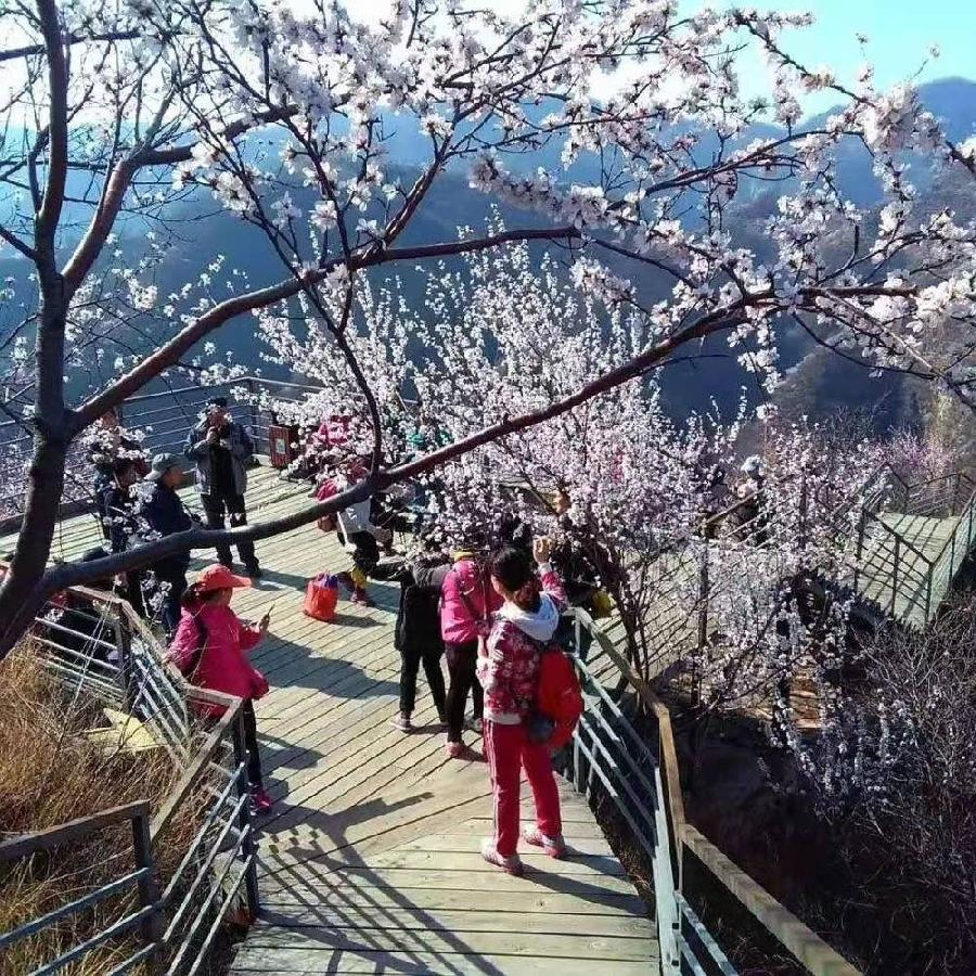 春天的脚印|作者山妹子|诵读 晚晴·王家明|海外头条(图6)