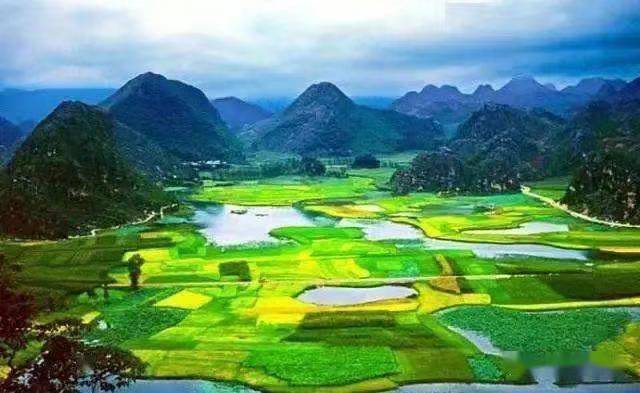 春天的脚印|作者山妹子|诵读 晚晴·王家明|海外头条(图7)