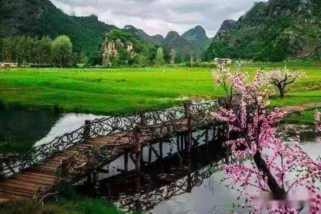 春天的脚印|作者山妹子|诵读 晚晴·王家明|海外头条(图8)