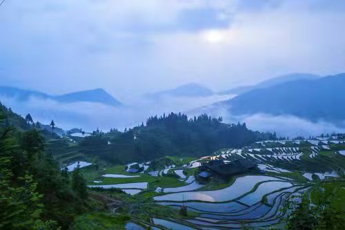 春天的脚印|作者山妹子|诵读 晚晴·王家明|海外头条(图11)