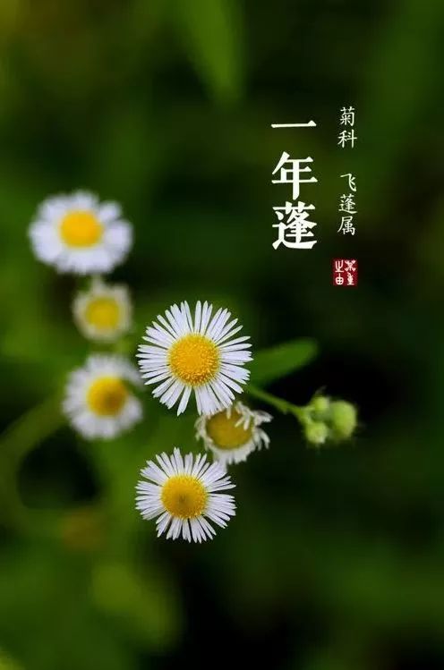 名人诗典(图11)
