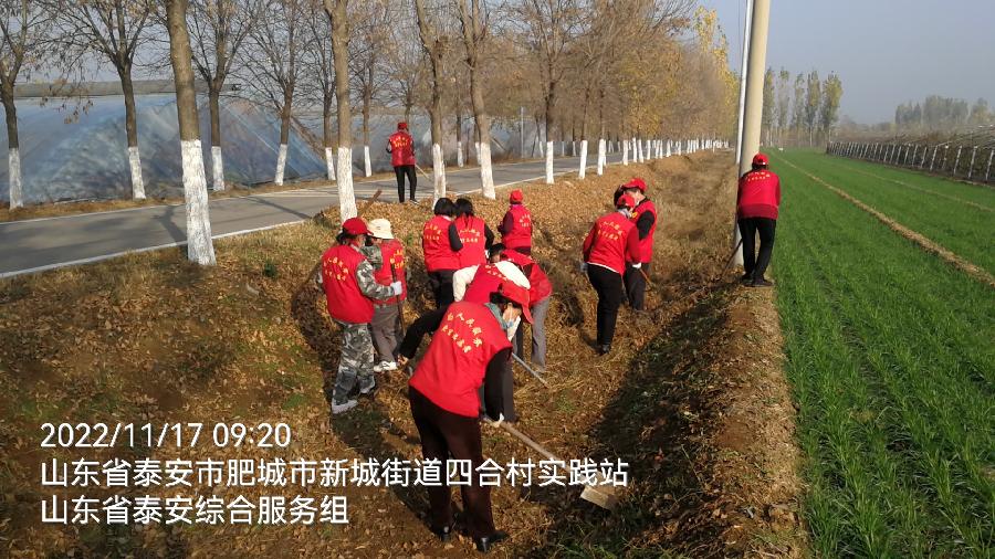 迎接全面检查 志愿服务基层（图2）