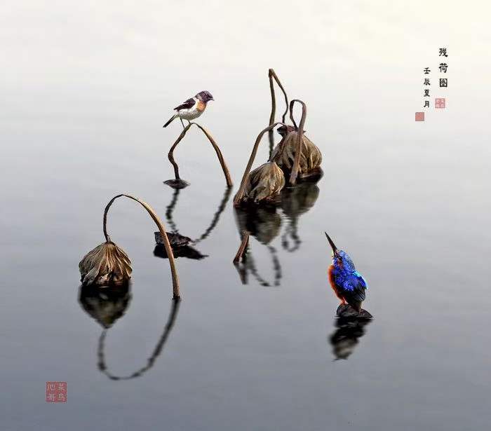 中华诗艺社黑龙江分社推介/书法家道可诗余斯文:破阵子(外一首)(图11)