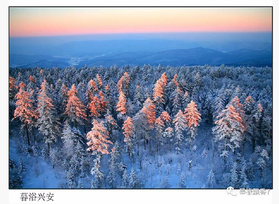 中华诗艺社黑龙江分社推介/书法家道可诗余斯文:破阵子(外一首)(图6)