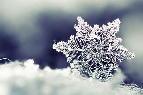 祥云主席等十二位作家诗歌（小雪之恋） 十八首 编辑：香乡【北疆头条】（第355期）（图34）