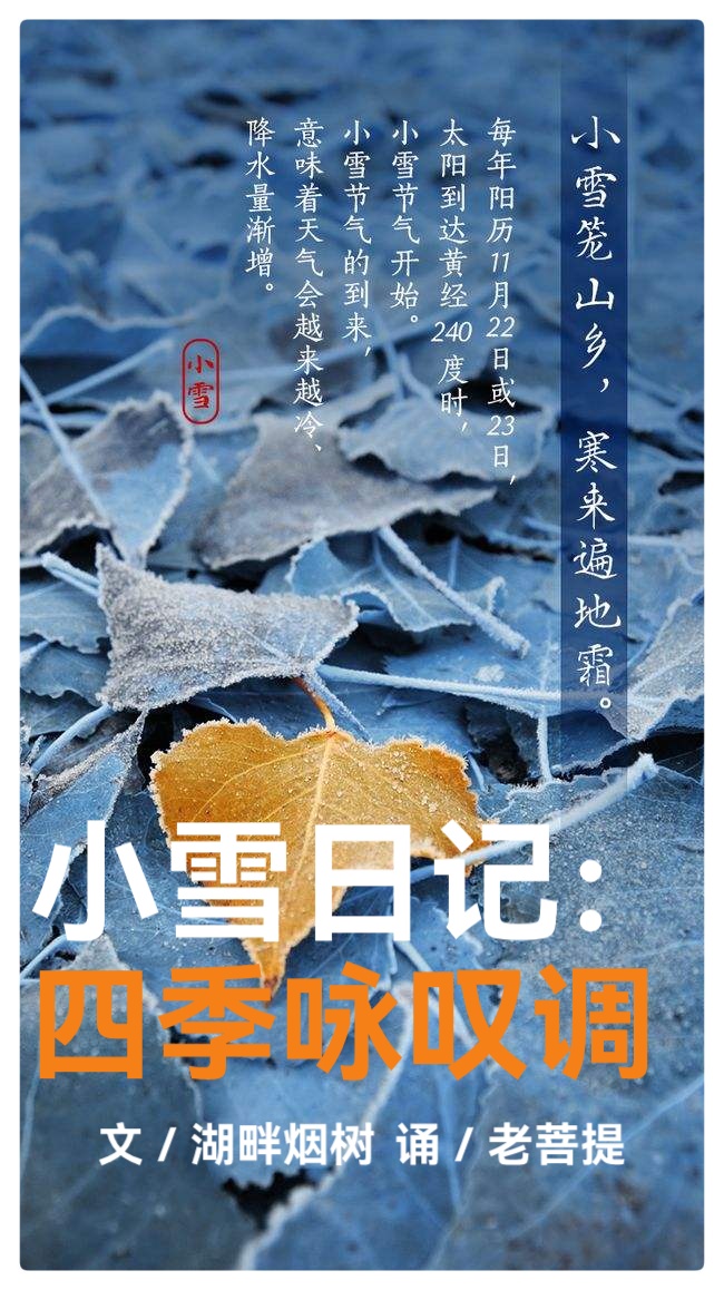 小雪日记：四季咏叹调∥作者：湖畔烟树∥朗诵：老菩提（图2）