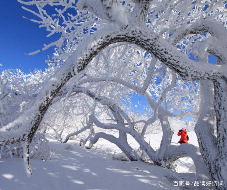 五律•小雪/作者：江枫渔火（图3）