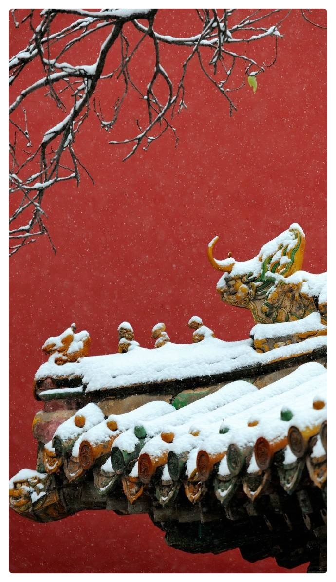 六月荷《古诗词六首》朗诵 资深媒体人柳顺涛(图5)