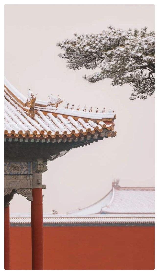 六月荷《古诗词六首》朗诵 资深媒体人柳顺涛(图6)