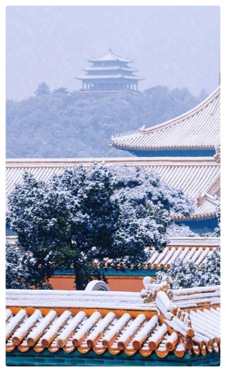 六月荷《古诗词六首》朗诵 资深媒体人柳顺涛(图8)