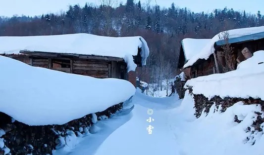 【新诗大观】等一场雪||文/宋茂林
