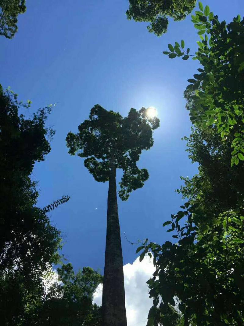 孟国泰:天地万物皆为我师(图8)
