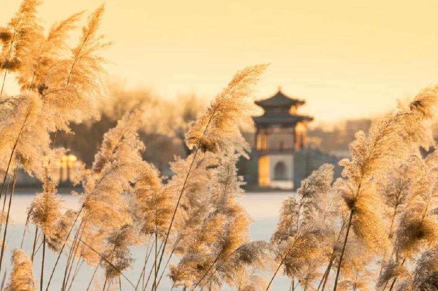 【中国长江文学社】有声文学平台《我的太阳》作者仲人/诵读叶子/制作宋梅【第4783期】（图6）