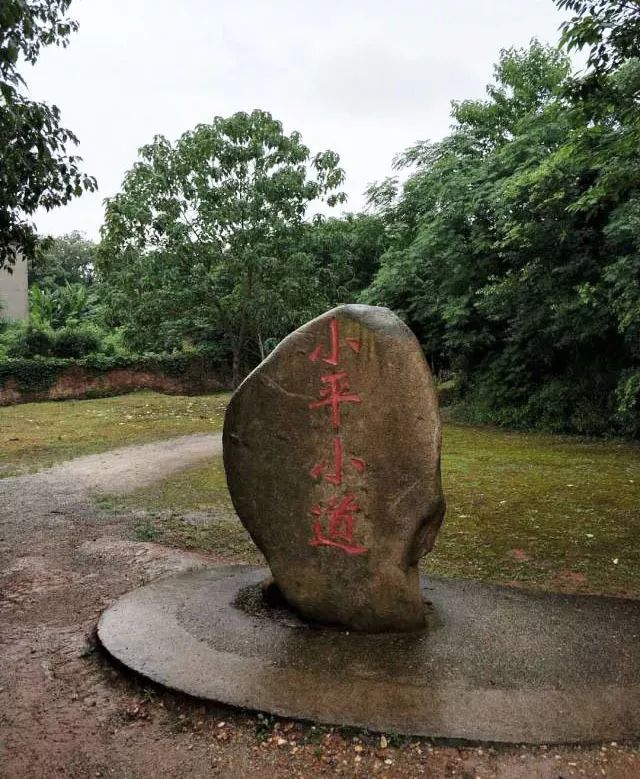 【九州风雅颂】《总设计师邓小平》(图3)