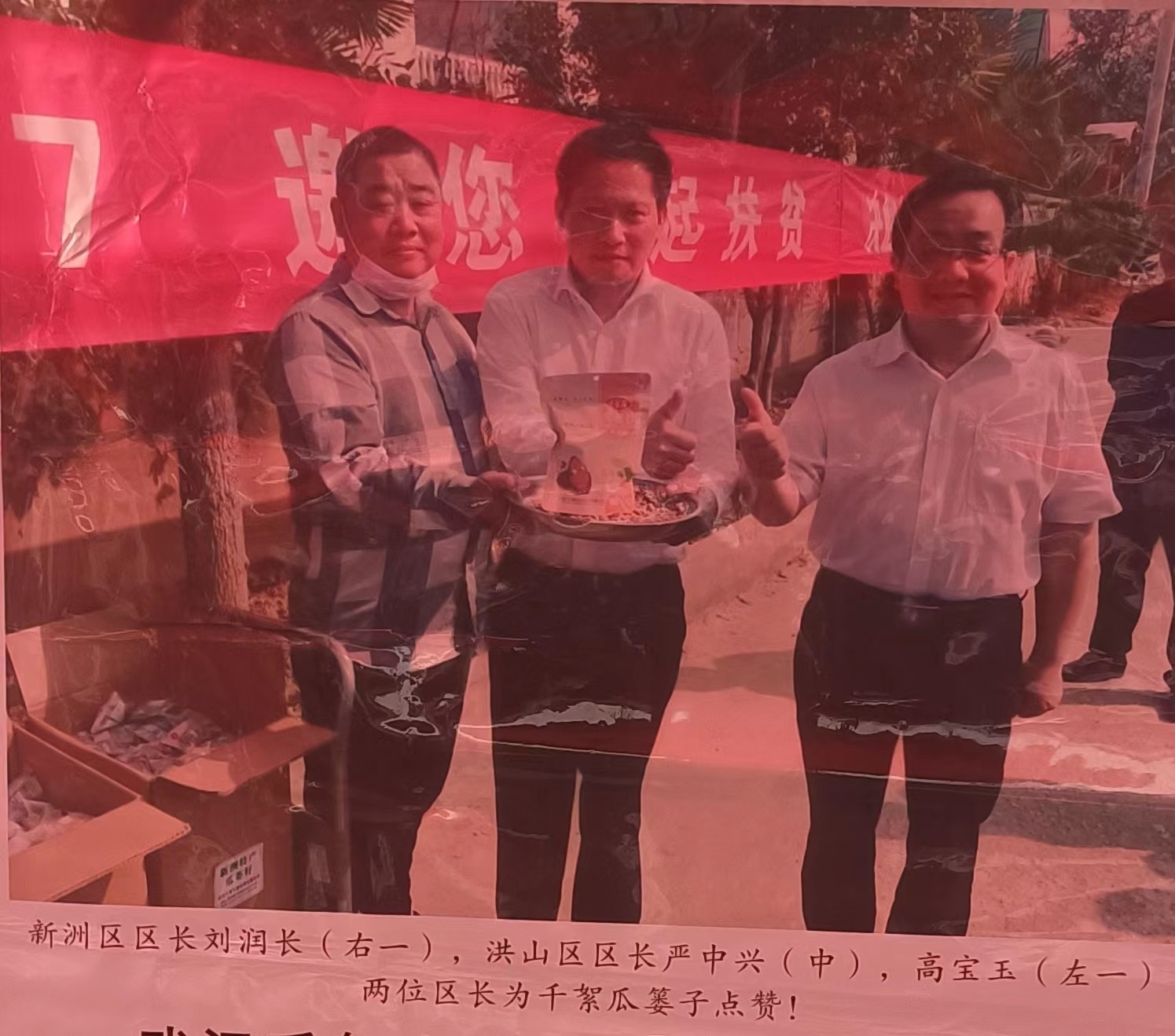 武汉千絮生态农业有限公司总经理高宝玉: 致富带头人 心系瓜蒌地(图7)