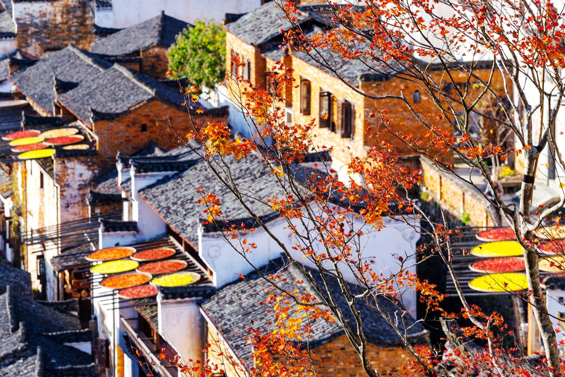 送秋 // 臧景亮（图3）