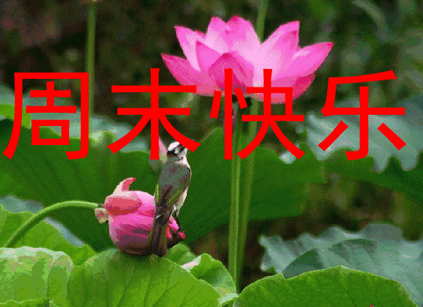 104801691.png image.png