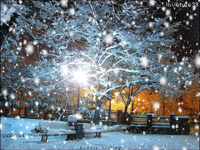 七律·夜雪清寒 // 王建群（山东济南）