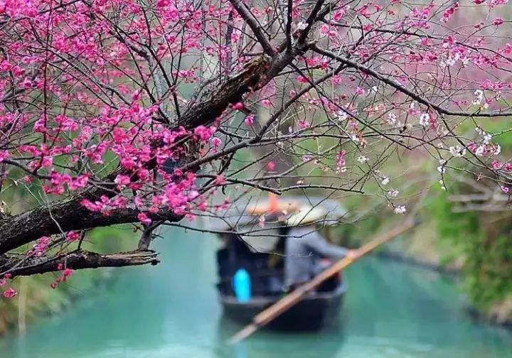 踏莎行·泉城龙年春 // 王建群 （山东济南）